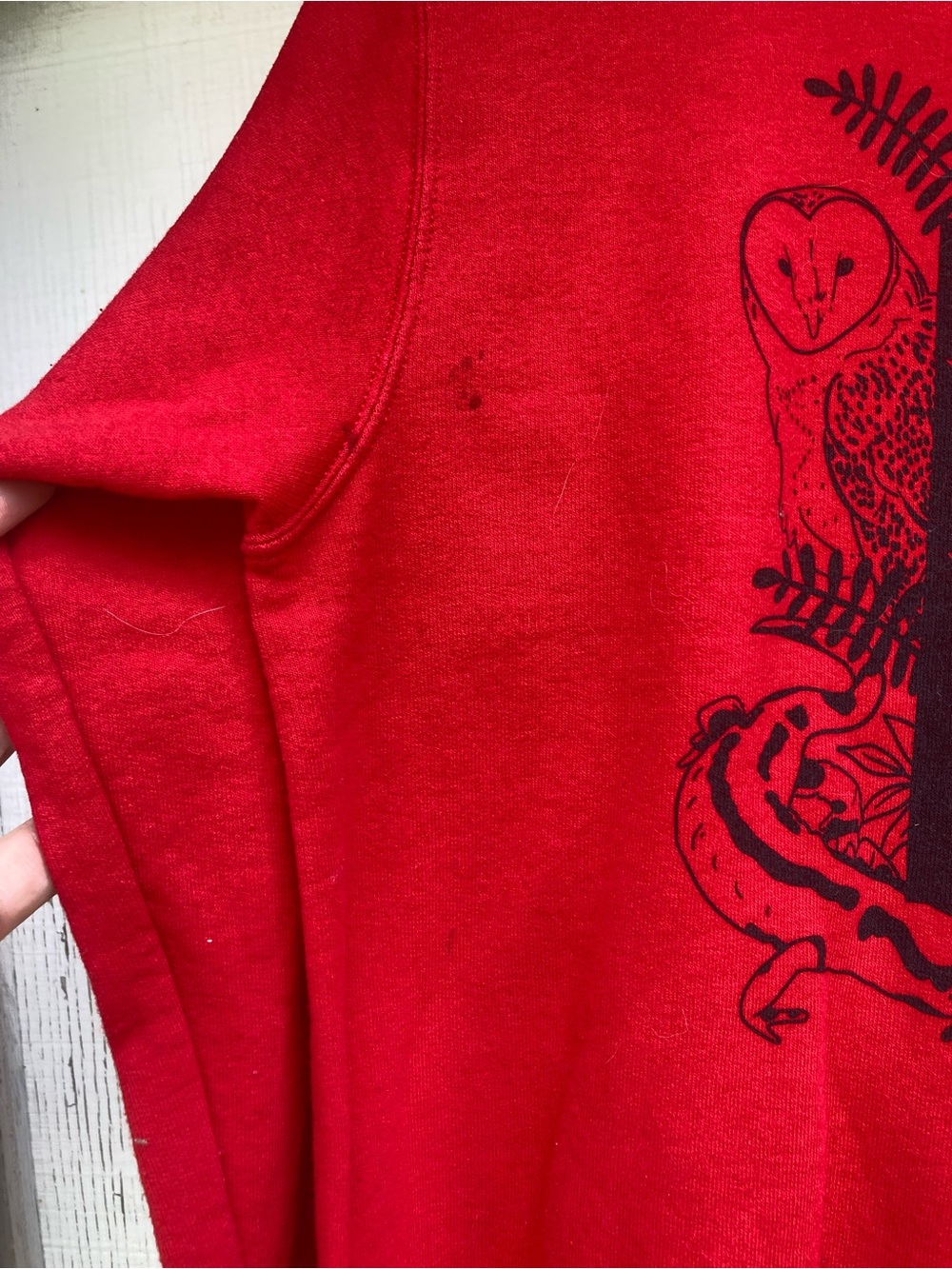 Red Graphic Crewneck Sweatshirt - Your Body Is A Living Creature - Picture 2 of 5